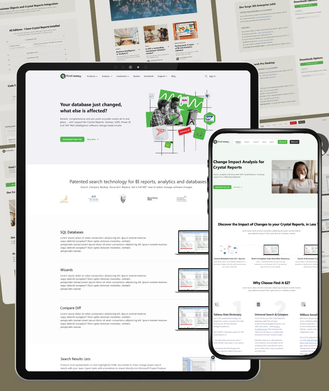 View project Finditez